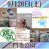 小店の紹介ぺージです「9/28（土）マルシェ出店（ですが…）」