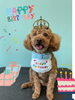 「Dog salon mofu mofu　余市町」