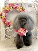 くるみちゃん「わんこと秋桜」