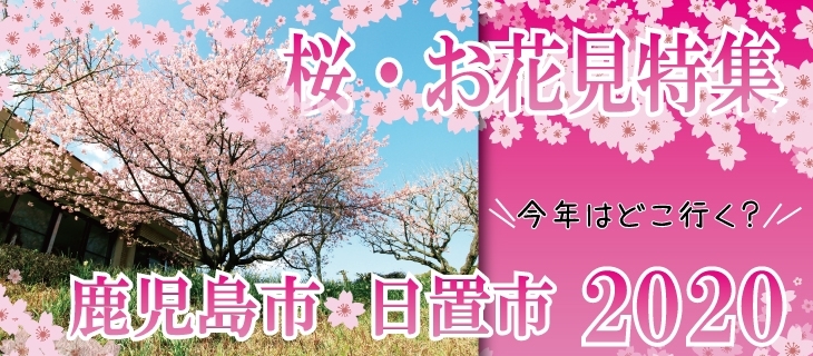 お花見するならココ 鹿児島市 日置市の桜特集 まいぷれ 鹿児島 日置