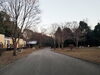 「今年も一年お世話になりました」