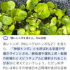 「事務所の花壇とメダカ池に、小さなビオトープができました」