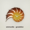 ammonite - gradation / black