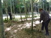 「みのり福祉会 就労継続支援B型 青空協同組合『四街道』様にてタケノコ掘りの巻～！！」