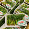 「秋田県産の「こしあぶら(栽培物)」です！！」