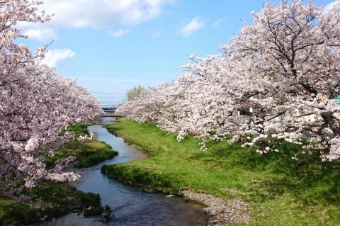 玉造温泉街～玉湯川