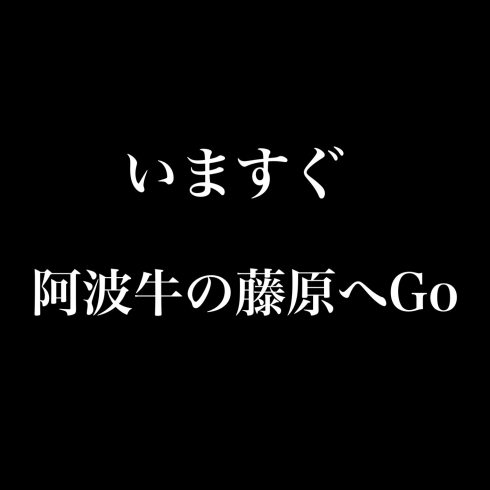 「本日限り！！」