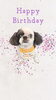 「Dog salon mofu mofu　余市町」