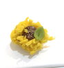 お稽古和菓子は、きんとん製のひまわりでした🌻「【銀座　裏千家教室　中央区　茶道教室】　夏だけの素敵なお点前《葉蓋（はぶた）》のお稽古でした～」
