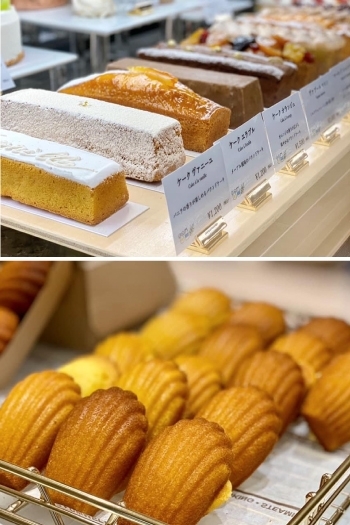 福島 Patisserie Philo Co パティスリーフィロ カンパニー 大阪市福島区のスイーツまとめ まいぷれ 大阪市福島区 福島 Patisserie Philo Co パティスリーフィロ カンパニー 大阪市福島区のスイーツまとめ まいぷれ 大阪市福島区