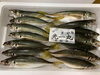 「本日岩牡蠣の入荷は御座いません。」
