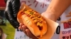 キッチンカーフェス　ホットドック「6月21日（土）  ハナコ スペシャルステージ　　　キッチンカーフェス」