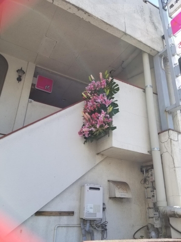 開店15周年お祝いの花 三次花壇 十日市店のニュース まいぷれ 三次市