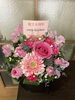 春色満開のアレンジ花「華かぐらの店状況‼️」