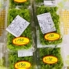 「魚魚市場鮮魚コーナーおすすめは「カマス・カレイ」です♪」