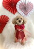 タロウくん／テディベア　トップ低め「Happy Valentine ♡」