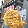大きめ！たい焼き「たい焼き日替わり⭐︎甘栗ゴロゴロ登場♫」