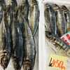 「魚魚市場鮮魚コーナーおすすめ「ホーボー・マテ貝」です♪」