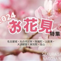 【2024年版】名古屋でお花見するなら＜名古屋城・東別院・桜通＞がおすすめ！