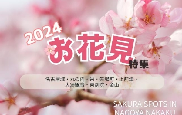 【2024年版】名古屋でお花見するなら＜名古屋城・東別院・桜通＞がおすすめ！