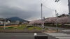 「実家近くの桜並木(北九州市八幡西区若葉にある少人数対応安心低価格の直葬．家族葬専門葬儀社です)」