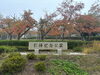 今朝の様子「今朝は、霧深い引揚記念公園です…」