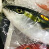 「魚魚市場鮮魚コーナーおすすめは「伊勢エビ」です♪」