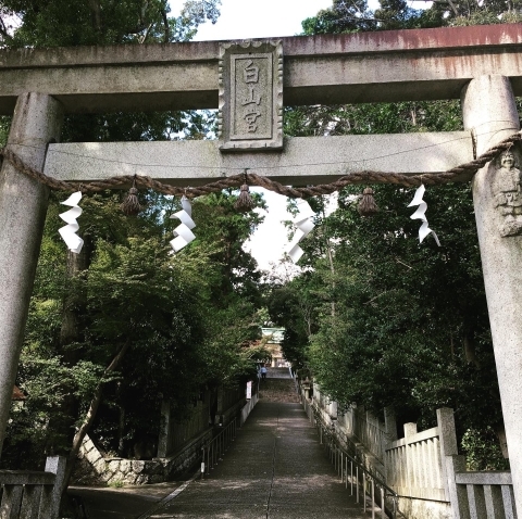 日進 白山宮 豊明 東郷 日進 長久手 初詣に行くならここ 神社仏閣特集 まいぷれ 豊明 東郷 日進 長久手 日進 白山宮 豊明 東郷 日進 長久手 初詣に行くならここ 神社仏閣特集 まいぷれ 豊明 東郷 日進 長久手