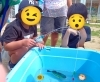 「見て、さわって、発見！イオンのイベントへ参加しました🐟🌞」