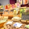 【来島海峡サービスエリア バレンタイン 愛媛/今治市】 ユニークチョコレートフェア ～愛媛・香川のBean to Barチョコレート～ で至福のチョコレート体験を