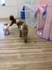 絆くんっ　遊ぼっ　byくう「ましゅまろ幼稚園　^ - ^」