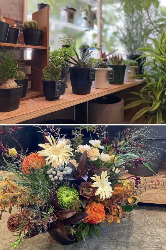 Crefam クレファム 新店特集 福島市のニューオープン店 まいぷれ 福島市 Crefam クレファム 新店特集 福島市のニューオープン店 まいぷれ 福島市