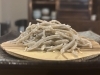 「蕎麦 ろうじな」の粗挽き蕎麦。くぅ〜「インディの《飲むリエ日誌》 其の參拾三本目」