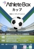 日本サロンフットボール協会公認球