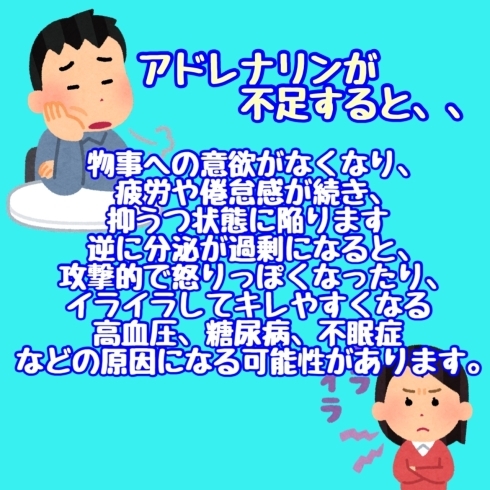 アドレナリンが不足すると、、「アドレナリンとは？」