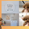 山陰エリア(米子・松江・出雲)のニューオープン店【新店情報】