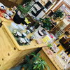 「西海物産館・魚魚市場内陶器コーナーに「観葉植物入荷‼︎」です♪」