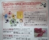 腸内フローラを整えて免疫力UP「腸を整えることが、体全体の元気につながる？！免疫と不調について」
