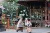 「神社にロケーション撮影【七五三】」