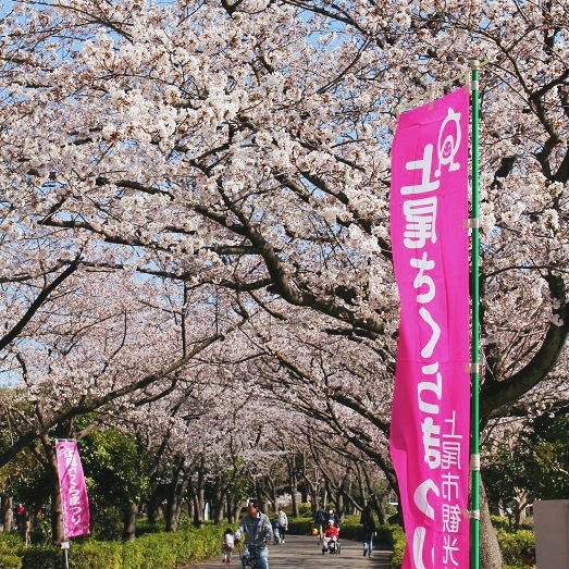 上尾さくらまつり18 3月24日 土 4月1日 日 まいぷれ編集部が行く まいぷれ 上尾 桶川