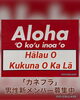 みんなで良い汗かきましょっ(*Ü*)/「11/13(日) 「Ke Kīhāpai Kūmaka」出演致します【東日本橋・馬喰横山・人形町・水天宮・浜町・小伝馬町・浅草橋エリアのフラダンス教室/初心者/経験者/女性も男性も/カネフラ/男性フラ/有酸素運動/体幹トレーニング】」