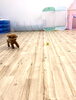 楽しいね　♡「ましゅまろ幼稚園　(^.^)」