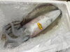 「魚魚市場鮮魚コーナーおすすめは「北海道産うに」です♪」