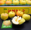 「岩手県奥州市江刺産「トキ」Webショップで販売中です〜。」