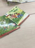 Oxford Reading Tree「小6クラス　多読中　目指せ！100冊　一之江　江戸川区　英語教室」