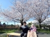 「お花見」