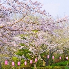 羽黒山公園｜麻生地区