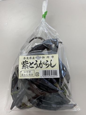 「多品種部会が出荷準備万端です！」