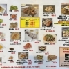 おすすめ単品料理