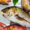 「魚魚市場鮮魚コーナーおすすめは「岩カキ・レンコ鯛・ノドグロ」です♪」